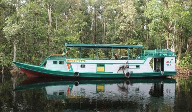 Orangutan Shaka Houseboat With Cabin Pangkalanbuun Exterior foto